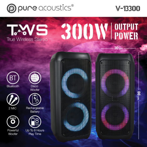 בידורית קריוקי ניידת 300W עם 2 מיקרופונים PURE ACOUSTICS