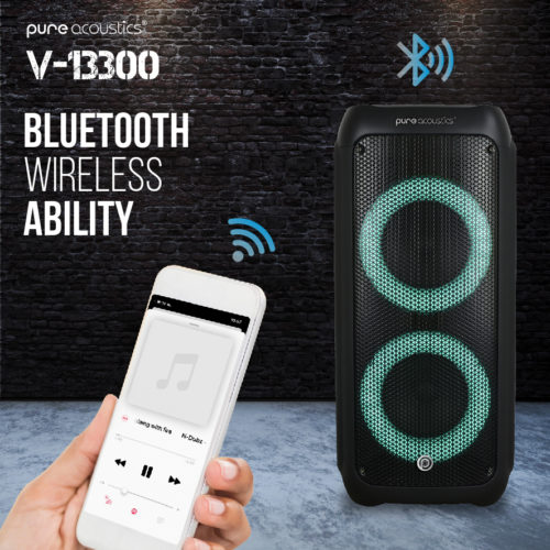 בידורית קריוקי ניידת 300W עם 2 מיקרופונים PURE ACOUSTICS