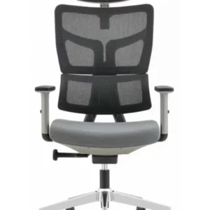 כיסא משרדי אורטופדי President