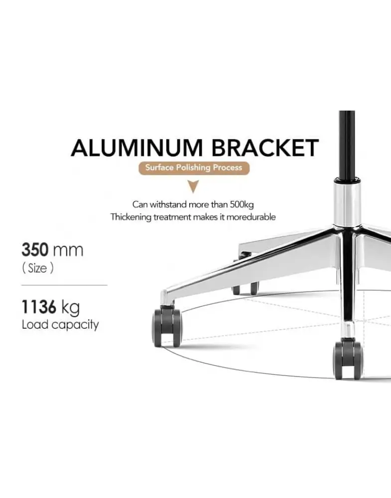 3 כיסא משרדי אורטופדי President