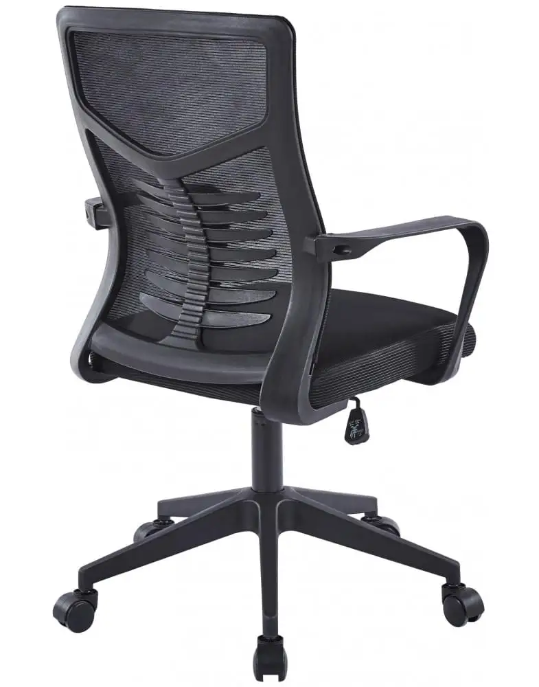 5 כיסא משרד Zumba