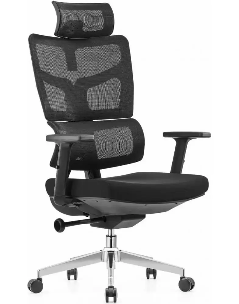 6 כיסא משרדי אורטופדי President